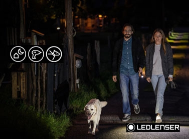 Ledlenser Home & Life Flashlights