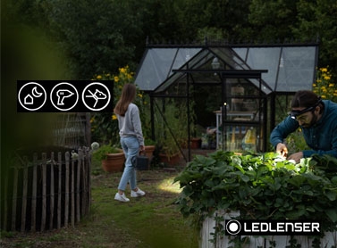 Ledlenser Home & Life Headlamps