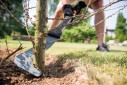 Fiskars WoodXpert XA23 Roncola lunga